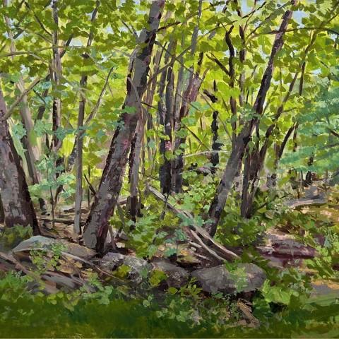 An oil painting of a forest scene